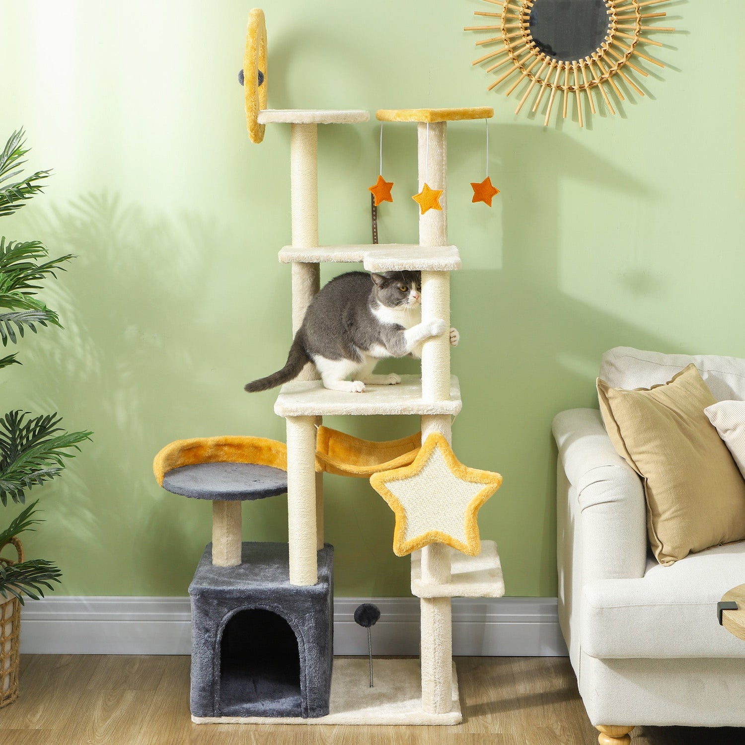 Pet Activity Center