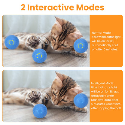 Interactive Hide-and-Seek Cat Toy – Motion Activated Fast Rolling Ball with Pouch, USB Rechargeable Smart Toy for Indoor Cats & Kittens