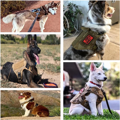 Tactical Dog Harness & Leash Set – Heavy Duty 1000D Nylon | Adjustable Pet Training Vest